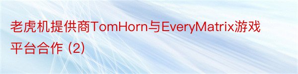 老虎机提供商TomHorn与EveryMatrix游戏平台合作 (2)