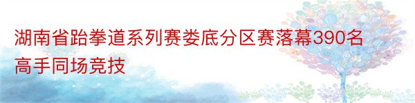 湖南省跆拳道系列赛娄底分区赛落幕390名高手同场竞技