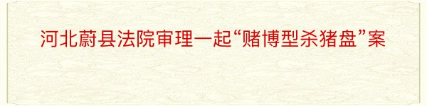 河北蔚县法院审理一起“赌博型杀猪盘”案